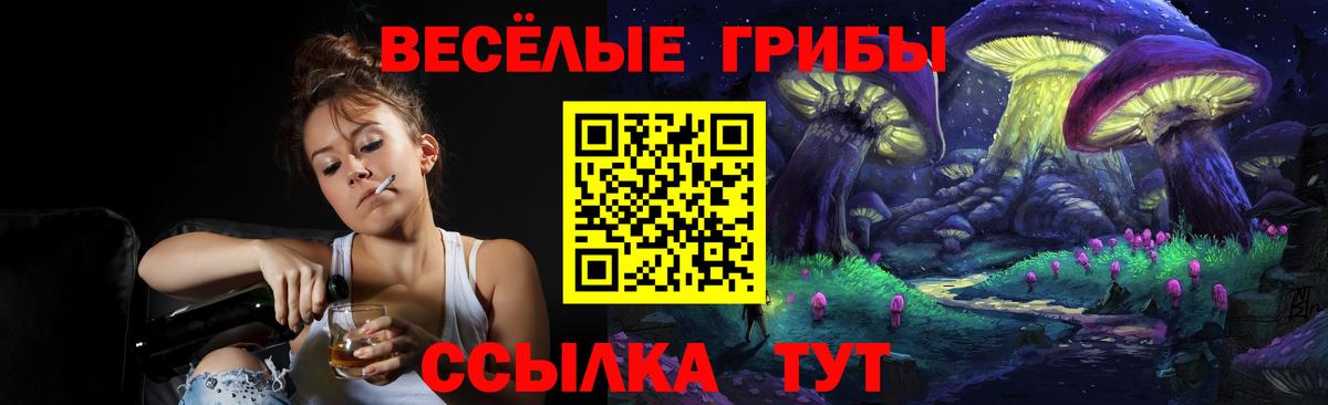 Псилоцибиновые грибы Magic Shrooms  Псилоцибиновые грибы ЛСД  Вход с VPN  Ртищево 